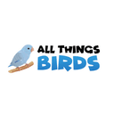 All Things Birds